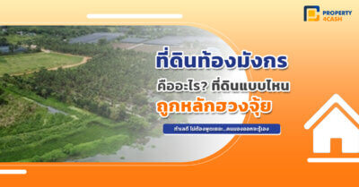 ที่ดินท้องมังกร คืออะไร?